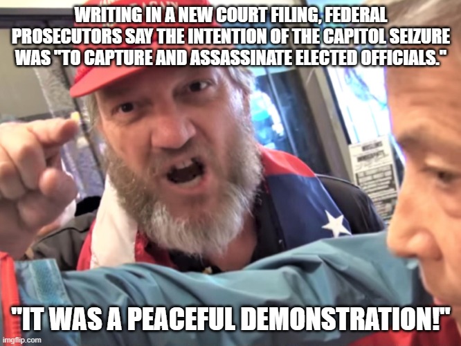 Violent MAGATs are going to prison. | WRITING IN A NEW COURT FILING, FEDERAL PROSECUTORS SAY THE INTENTION OF THE CAPITOL SEIZURE WAS "TO CAPTURE AND ASSASSINATE ELECTED OFFICIALS."; "IT WAS A PEACEFUL DEMONSTRATION!" | image tagged in angry trump supporter,sedition,murder,mayhem,idiot magats | made w/ Imgflip meme maker