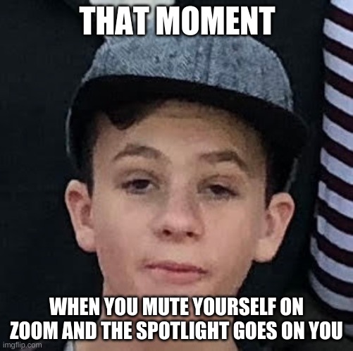 THAT MOMENT; WHEN YOU MUTE YOURSELF ON ZOOM AND THE SPOTLIGHT GOES ON YOU | image tagged in memes | made w/ Imgflip meme maker