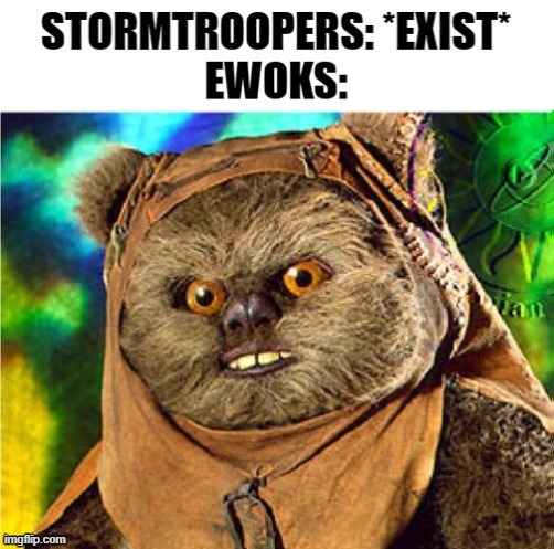 image tagged in angry ewok | made w/ Imgflip meme maker