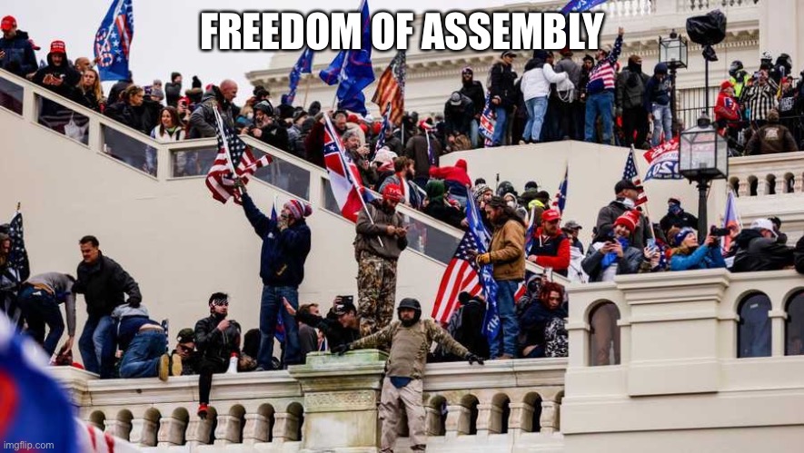 Freedom of Assembly | FREEDOM OF ASSEMBLY | image tagged in mike pompeo,mike pence,washington capitals | made w/ Imgflip meme maker