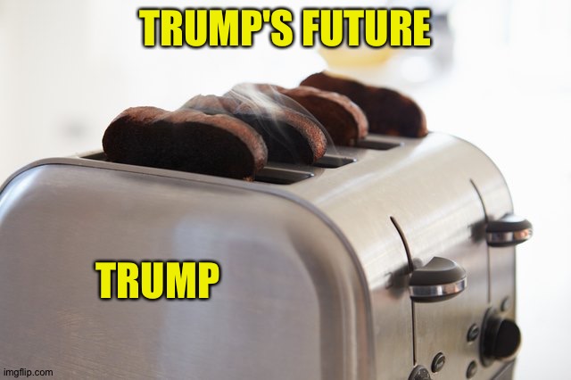 Donald has no one to blame but himself | TRUMP'S FUTURE; TRUMP | image tagged in burnt toast | made w/ Imgflip meme maker