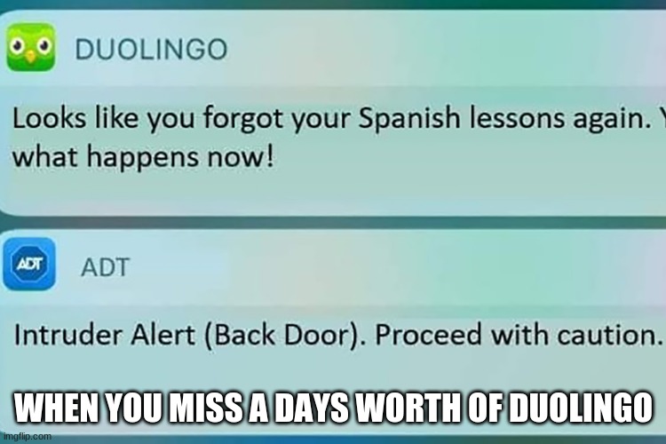 Duo knows.... | WHEN YOU MISS A DAYS WORTH OF DUOLINGO | image tagged in duolingo phone meme | made w/ Imgflip meme maker