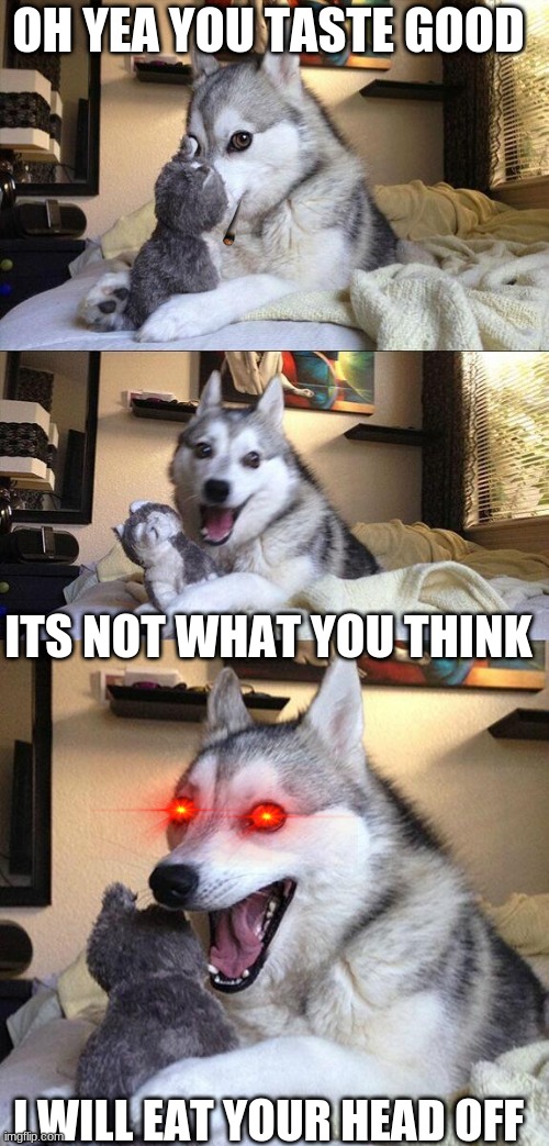 Bad Pun Dog | OH YEA YOU TASTE GOOD; ITS NOT WHAT YOU THINK; I WILL EAT YOUR HEAD OFF | image tagged in memes,bad pun dog | made w/ Imgflip meme maker