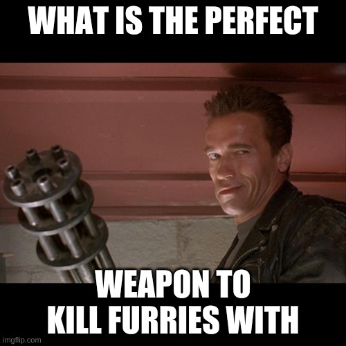 Terminator Meme | WHAT IS THE PERFECT; WEAPON TO KILL FURRIES WITH | image tagged in terminator meme | made w/ Imgflip meme maker