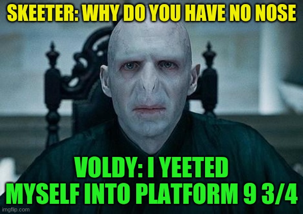 I yeeted meself | SKEETER: WHY DO YOU HAVE NO NOSE; VOLDY: I YEETED MYSELF INTO PLATFORM 9 3/4 | image tagged in lord voldemort | made w/ Imgflip meme maker