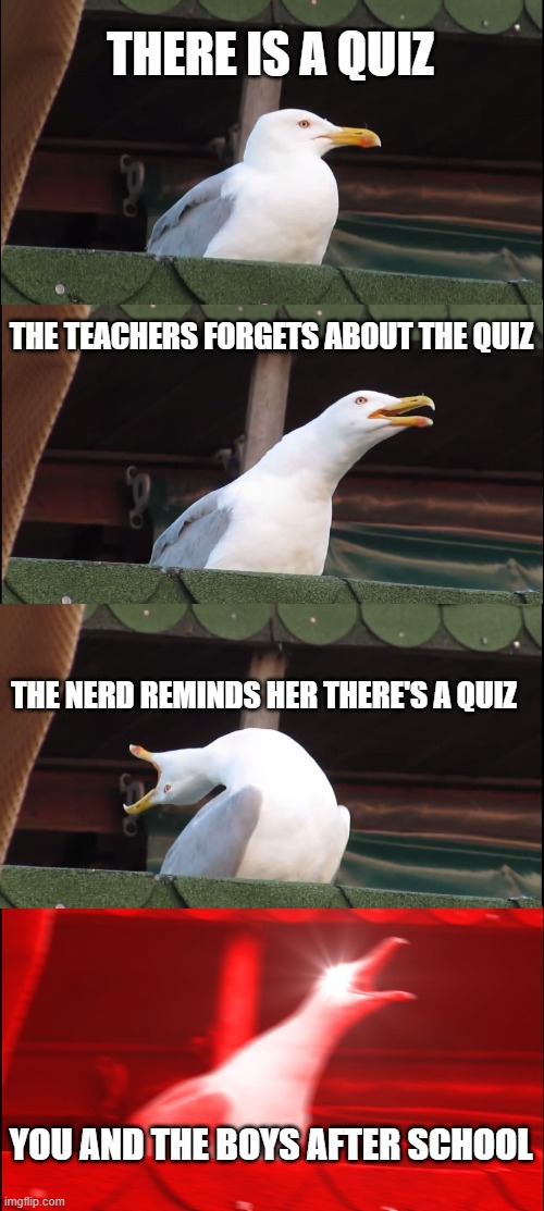 Inhaling Seagull | THERE IS A QUIZ; THE TEACHERS FORGETS ABOUT THE QUIZ; THE NERD REMINDS HER THERE'S A QUIZ; YOU AND THE BOYS AFTER SCHOOL | image tagged in memes,inhaling seagull | made w/ Imgflip meme maker