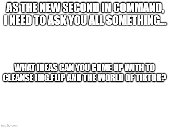 What ideas do ya'll have to take down tiktok? I will check what you put, and kind of "combine them", as long as lacey approves | AS THE NEW SECOND IN COMMAND, I NEED TO ASK YOU ALL SOMETHING... WHAT IDEAS CAN YOU COME UP WITH TO CLEANSE IMG.FLIP AND THE WORLD OF TIKTOK? | image tagged in blank white template | made w/ Imgflip meme maker