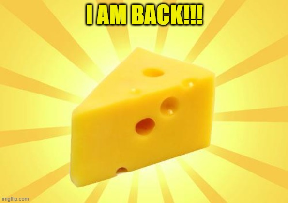 after a long break, i back! | I AM BACK!!! | image tagged in cheese time,cheese official back | made w/ Imgflip meme maker