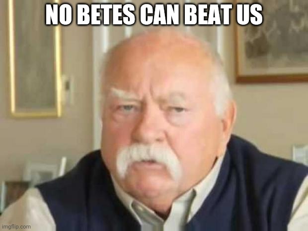 Wilford Brimley | NO BETES CAN BEAT US | image tagged in wilford brimley | made w/ Imgflip meme maker