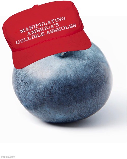 MAGA bloob | image tagged in blueberry | made w/ Imgflip meme maker