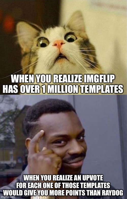 LOL | WHEN YOU REALIZE IMGFLIP HAS OVER 1 MILLION TEMPLATES; WHEN YOU REALIZE AN UPVOTE FOR EACH ONE OF THOSE TEMPLATES WOULD GIVE YOU MORE POINTS THAN RAYDOG | image tagged in memes,scared cat,black guy pointing at head,imgflip,templates,raydog | made w/ Imgflip meme maker