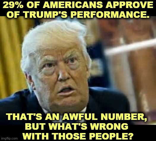 The man is a disgrace. | 29% OF AMERICANS APPROVE OF TRUMP'S PERFORMANCE. THAT'S AN AWFUL NUMBER, 
BUT WHAT'S WRONG 
WITH THOSE PEOPLE? | image tagged in trump dilated loser,trump,disaster,catastrophe,hatred,exit | made w/ Imgflip meme maker