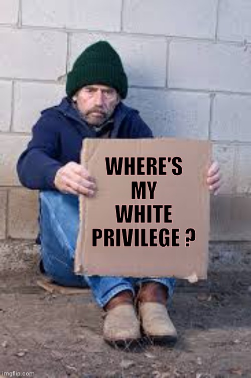 homeless sign | WHERE'S
       MY
       WHITE
       PRIVILEGE ? | image tagged in homeless sign | made w/ Imgflip meme maker