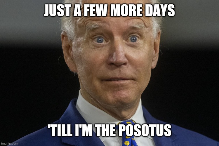 And how | JUST A FEW MORE DAYS; 'TILL I'M THE POSOTUS | image tagged in politics | made w/ Imgflip meme maker