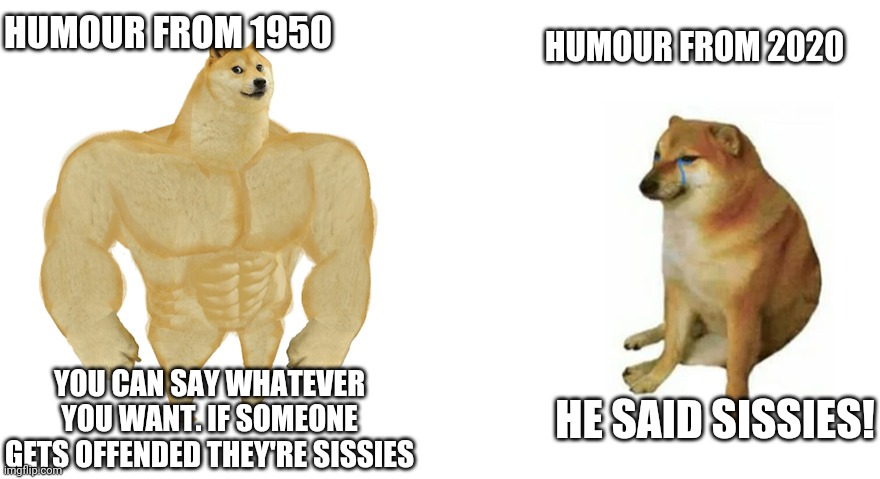 Respect is essential. I agree. But what about relaxing and letting go? | HUMOUR FROM 1950; HUMOUR FROM 2020; YOU CAN SAY WHATEVER YOU WANT. IF SOMEONE GETS OFFENDED THEY'RE SISSIES; HE SAID SISSIES! | image tagged in buff doge vs crying cheems | made w/ Imgflip meme maker