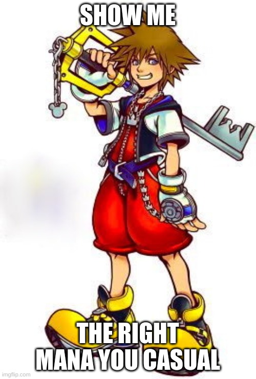 Kingdom Hearts Sora | SHOW ME THE RIGHT MANA YOU CASUAL | image tagged in kingdom hearts sora | made w/ Imgflip meme maker