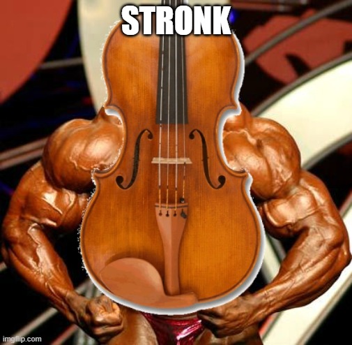 Viola, a violin on steroids | STRONK | image tagged in viola a violin on steroids | made w/ Imgflip meme maker