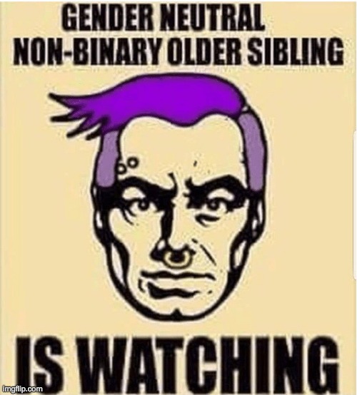 Big Gender Neutrual Sibling is Watching | image tagged in big brother,sibling,gender identity | made w/ Imgflip meme maker