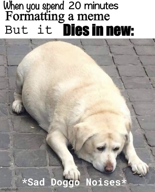Also when you hand draw a custom template | When you spend; 20 minutes; Formatting a meme; But it; Dies in new: | image tagged in sad doggo noises | made w/ Imgflip meme maker