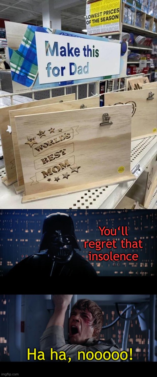 Burn! | You‘ll regret that insolence; Ha ha, nooooo! | image tagged in memes,star wars no,well that escalated quickly,funny | made w/ Imgflip meme maker