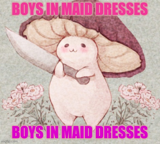 boys in skirts | BOYS IN MAID DRESSES; BOYS IN MAID DRESSES | image tagged in mushroom boi | made w/ Imgflip meme maker