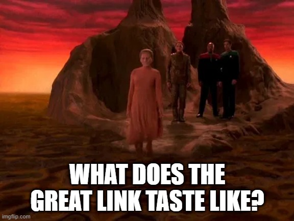 Tastes like chicken | WHAT DOES THE GREAT LINK TASTE LIKE? | image tagged in star trek deep space nine | made w/ Imgflip meme maker