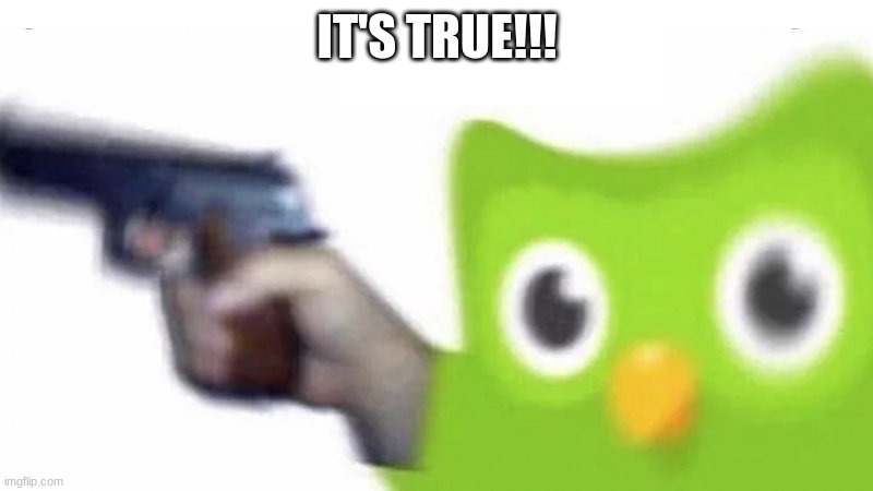 duolingo gun | IT'S TRUE!!! | image tagged in duolingo gun | made w/ Imgflip meme maker