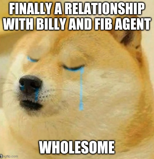 sad doge | FINALLY A RELATIONSHIP WITH BILLY AND FIB AGENT WHOLESOME | image tagged in sad doge | made w/ Imgflip meme maker