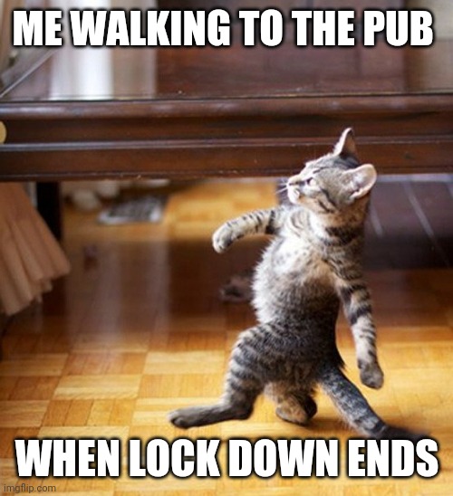 Me walking to the pub after lock down |  ME WALKING TO THE PUB; WHEN LOCK DOWN ENDS | image tagged in cat walking like a boss | made w/ Imgflip meme maker