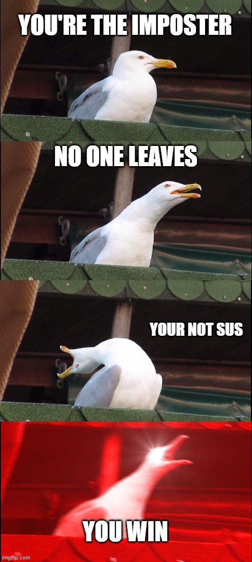 Inhaling Seagull | YOU'RE THE IMPOSTER; NO ONE LEAVES; YOUR NOT SUS; YOU WIN | image tagged in memes,inhaling seagull | made w/ Imgflip meme maker