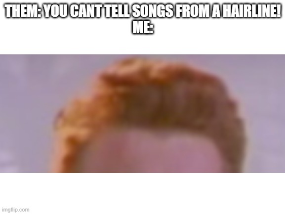 Or can you? | THEM: YOU CANT TELL SONGS FROM A HAIRLINE!
ME: | image tagged in funny memes | made w/ Imgflip meme maker