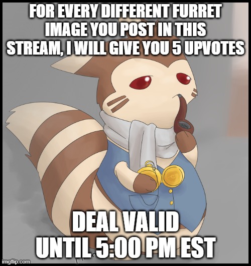 What are you waiting for?! | FOR EVERY DIFFERENT FURRET IMAGE YOU POST IN THIS STREAM, I WILL GIVE YOU 5 UPVOTES; DEAL VALID UNTIL 5:00 PM EST | image tagged in fancy furret | made w/ Imgflip meme maker