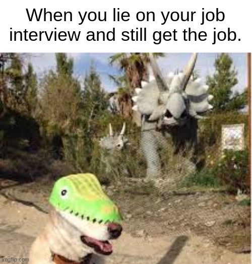 well, he's the sneaky boi | When you lie on your job interview and still get the job. | image tagged in job interview,memes,funny | made w/ Imgflip meme maker