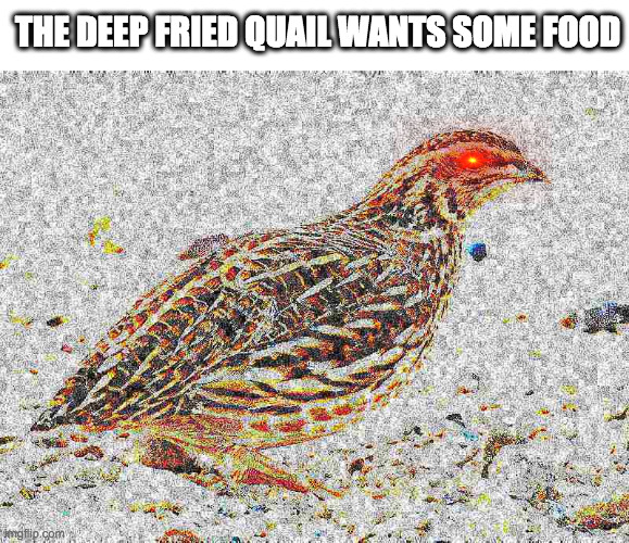 THE DEEP FRIED QUAIL WANTS SOME FOOD | made w/ Imgflip meme maker