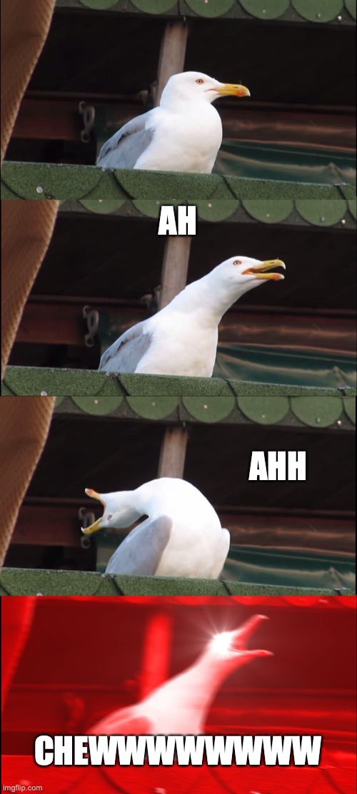 Inhaling Seagull Meme | AH; AHH; CHEWWWWWWWW | image tagged in memes,inhaling seagull | made w/ Imgflip meme maker