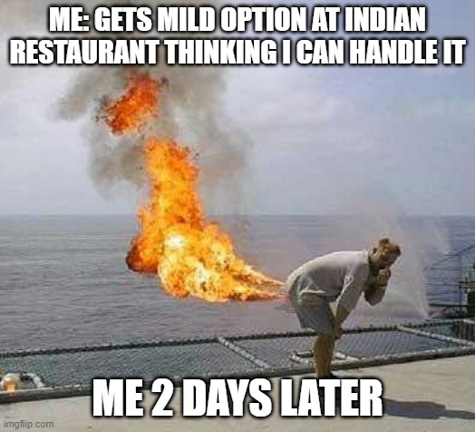 Too Spicy |  ME: GETS MILD OPTION AT INDIAN RESTAURANT THINKING I CAN HANDLE IT; ME 2 DAYS LATER | image tagged in memes | made w/ Imgflip meme maker