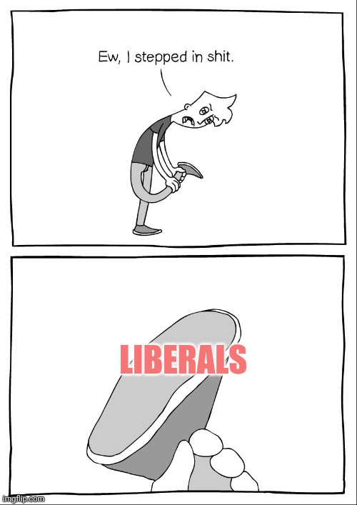 Ew, i stepped in shit | LIBERALS | image tagged in ew i stepped in shit | made w/ Imgflip meme maker