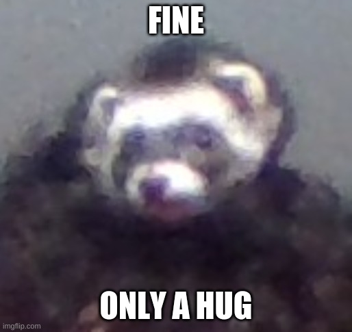 zach's ferret | FINE ONLY A HUG | image tagged in zach's ferret | made w/ Imgflip meme maker