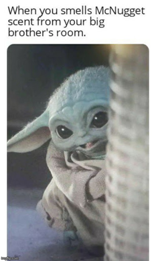 image tagged in baby yoda,funny,meme,food | made w/ Imgflip meme maker