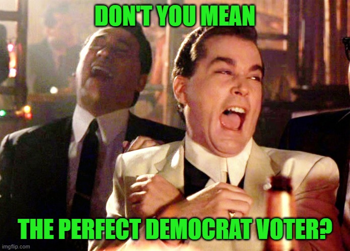 Good Fellas Hilarious Meme | DON'T YOU MEAN THE PERFECT DEMOCRAT VOTER? | image tagged in memes,good fellas hilarious | made w/ Imgflip meme maker