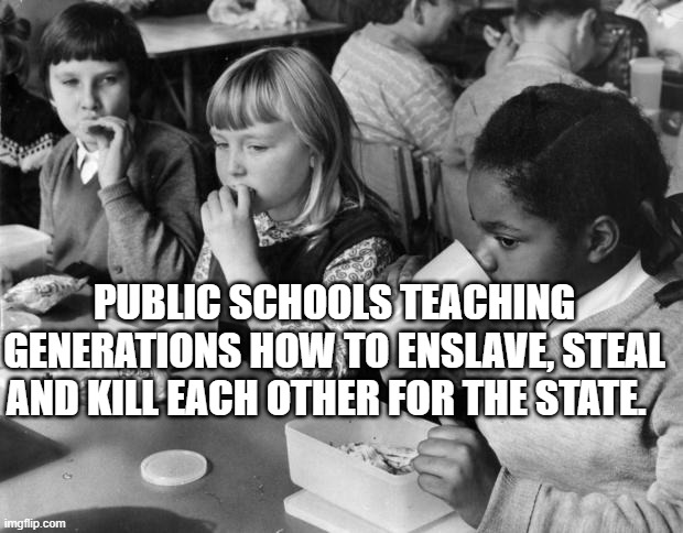 School lunch | PUBLIC SCHOOLS TEACHING GENERATIONS HOW TO ENSLAVE, STEAL AND KILL EACH OTHER FOR THE STATE. | image tagged in school lunch | made w/ Imgflip meme maker