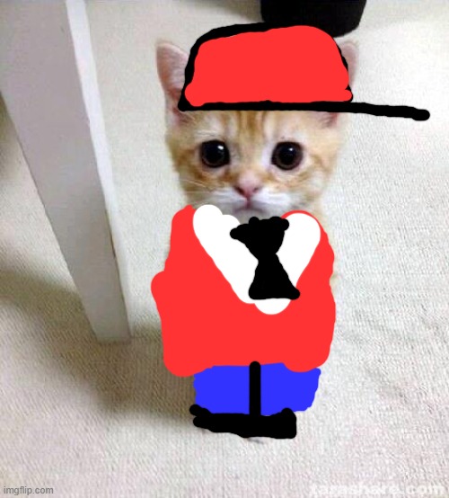 Cat in suit | image tagged in memes,cute cat | made w/ Imgflip meme maker