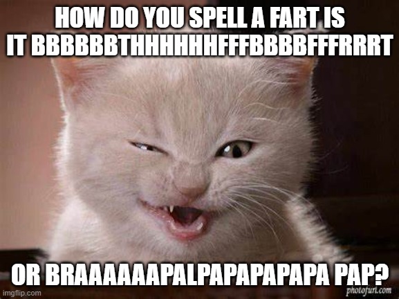 winky asks | HOW DO YOU SPELL A FART IS IT BBBBBBTHHHHHHFFFBBBBFFFRRRT; OR BRAAAAAAPALPAPAPAPAPA PAP? | image tagged in farting | made w/ Imgflip meme maker