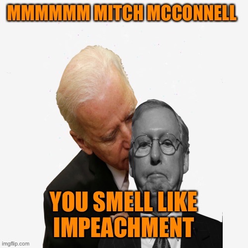 Smells like Mitch impeachment | image tagged in donald trump,trump impeachment,joe biden,sniff,mitch mcconnell,maga | made w/ Imgflip meme maker