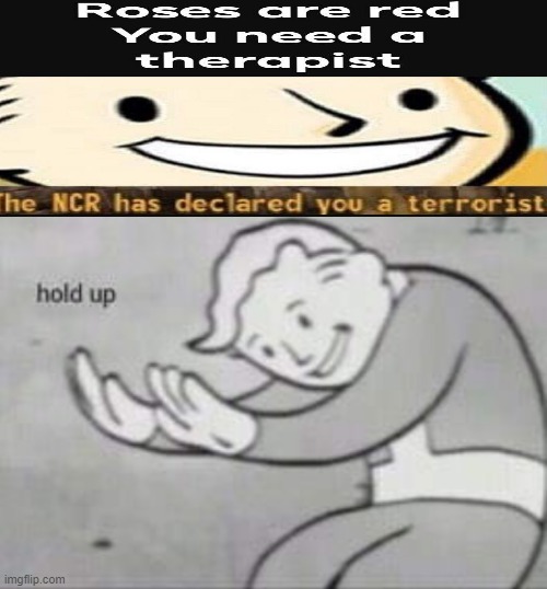 Fallout hold up with space on the top | image tagged in fallout hold up with space on the top | made w/ Imgflip meme maker