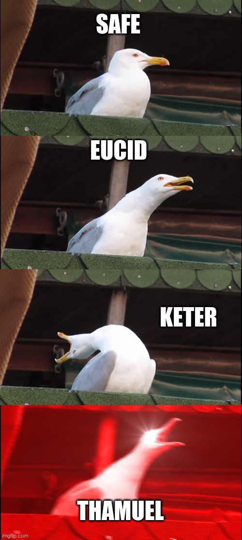 scp containment levels | SAFE; EUCID; KETER; THAMUEL | image tagged in memes,inhaling seagull,scp meme | made w/ Imgflip meme maker