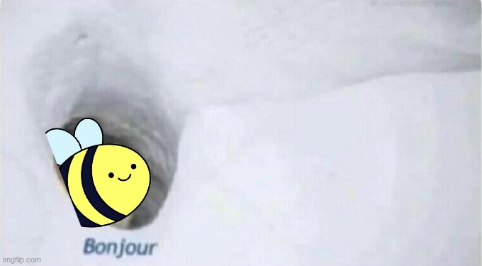 I'm back and prob running for something | image tagged in bonjour bear | made w/ Imgflip meme maker