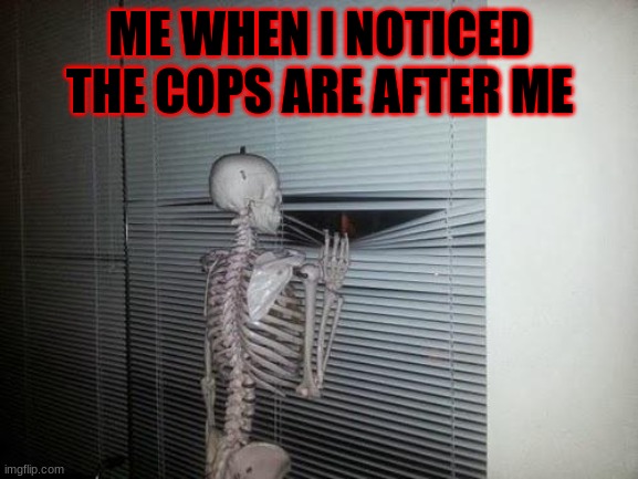 Skeleton Looking Out Window | ME WHEN I NOTICED THE COPS ARE AFTER ME | image tagged in skeleton looking out window | made w/ Imgflip meme maker