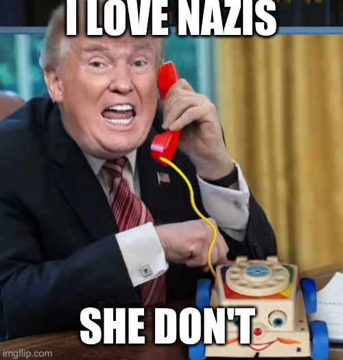 I'm the president | I LOVE NAZIS SHE DON'T | image tagged in i'm the president | made w/ Imgflip meme maker