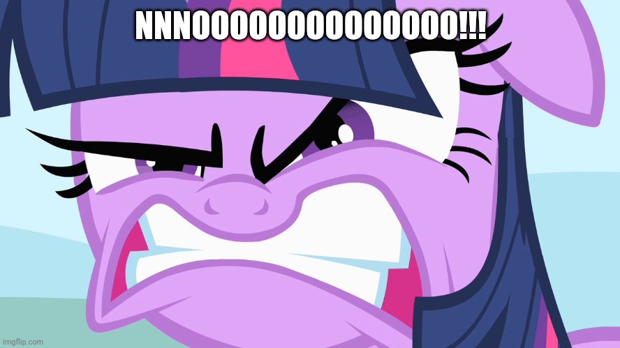 ANGRY Twilight | NNNOOOOOOOOOOOOOO!!! | image tagged in angry twilight | made w/ Imgflip meme maker